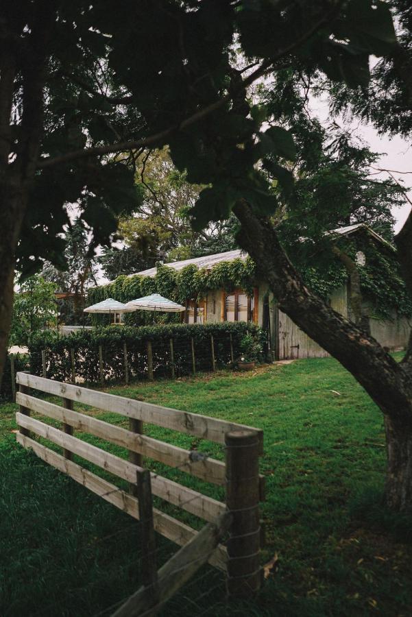 Tiger House Lejlighed Havelock North Eksteriør billede