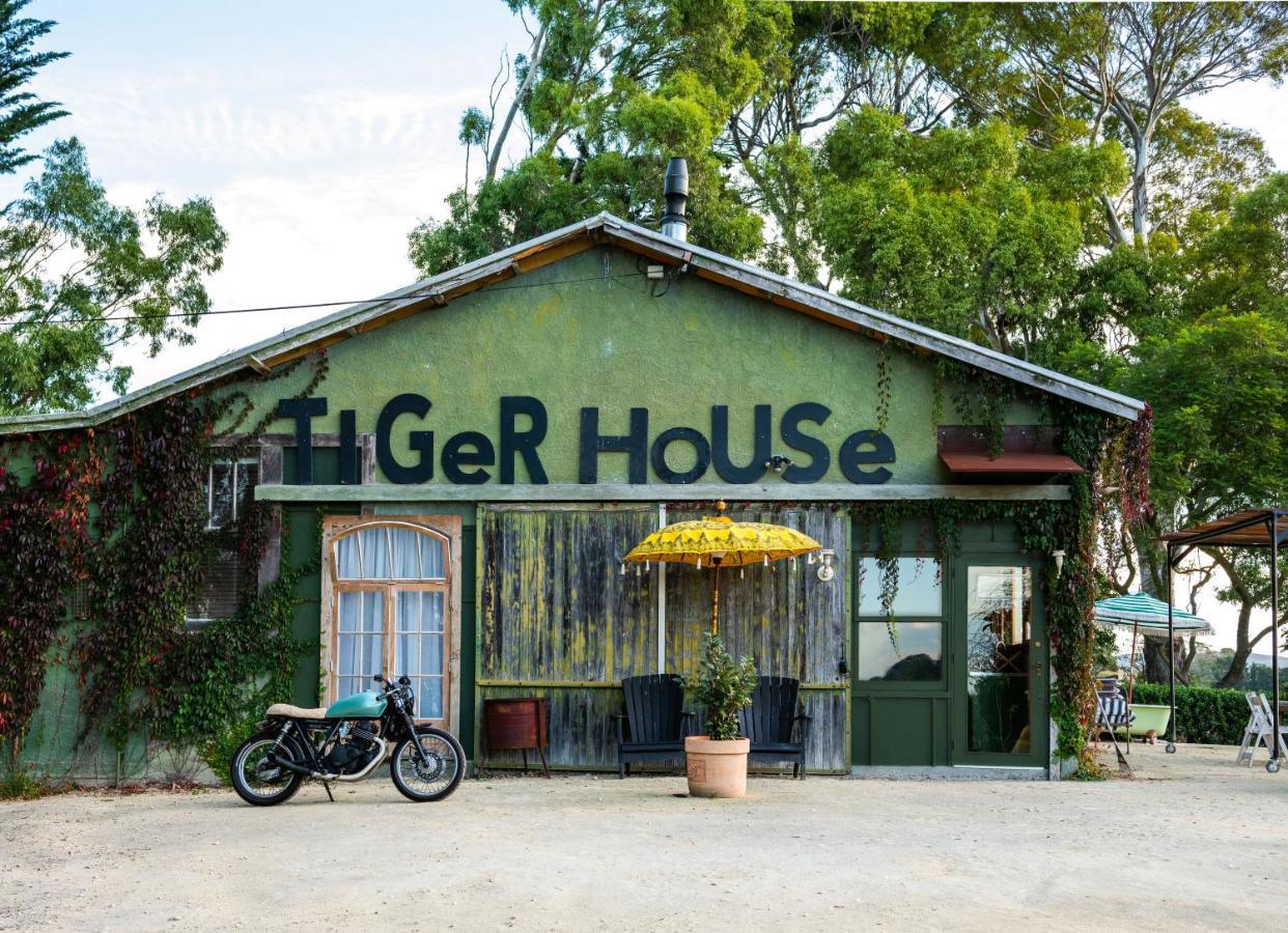 Tiger House Lejlighed Havelock North Eksteriør billede