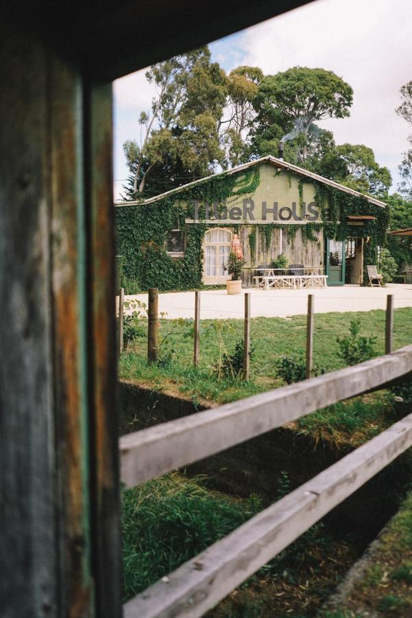 Tiger House Lejlighed Havelock North Eksteriør billede