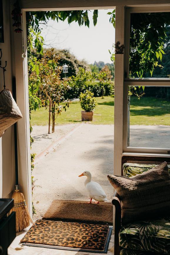 Tiger House Lejlighed Havelock North Eksteriør billede